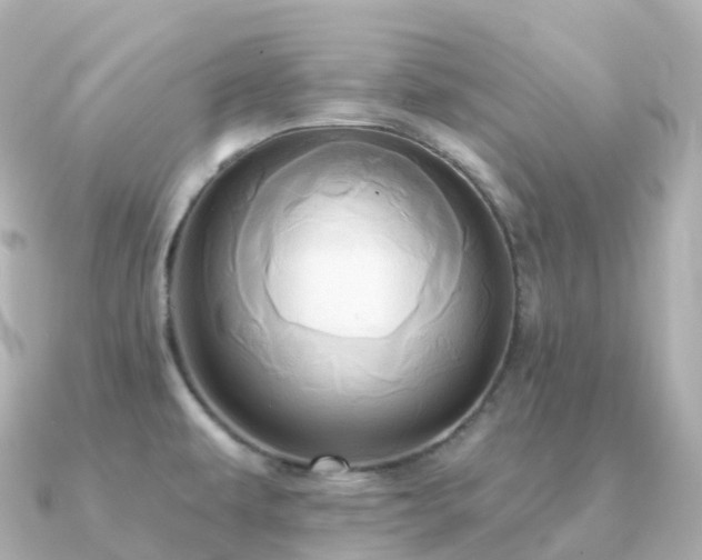 X0000091351479200708101520
