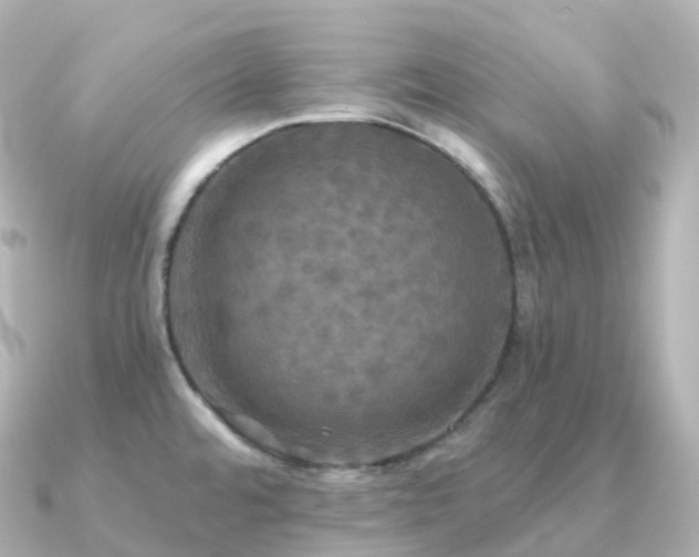 X0000091351480200708101520