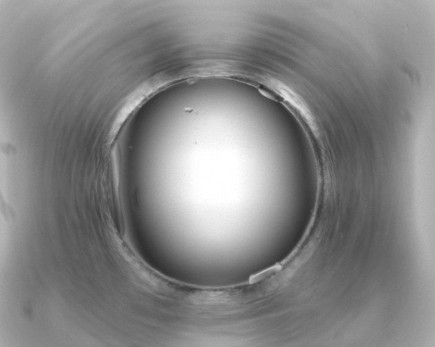 X0000091351481200708101520