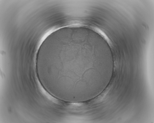 X0000091351483200708101520