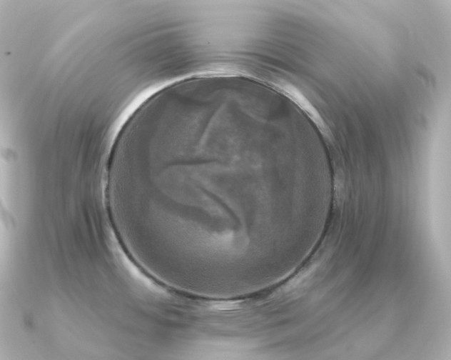 X0000091351484200708101520