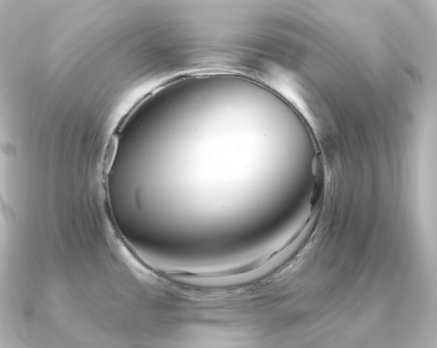X0000091351485200708101520