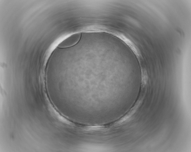 X0000091351486200708101520