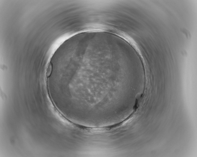 X0000091351488200708101520