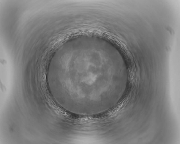 X0000091351489200708101519