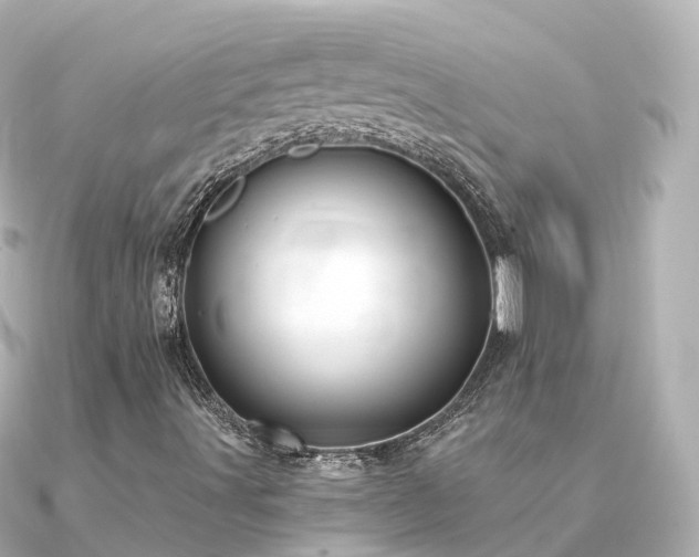 X0000091351491200708101519