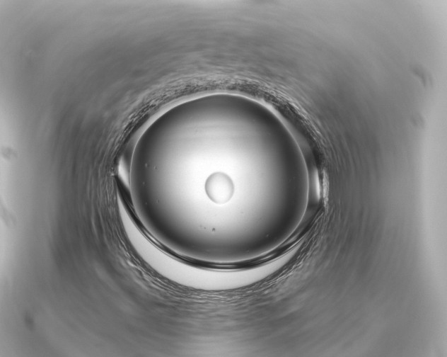 X0000091351492200708101519