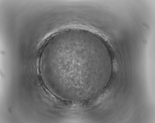 X0000091351494200708101519