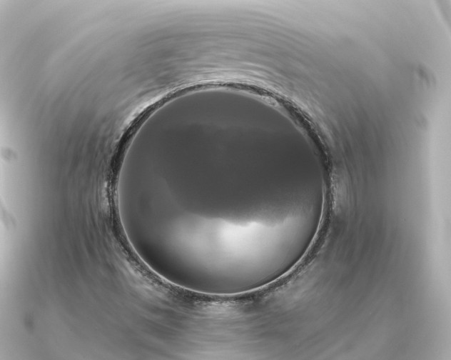 X0000091351497200708101519