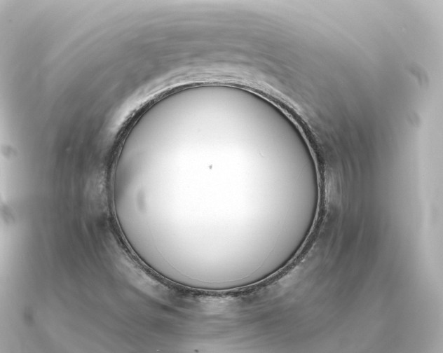 X0000091351498200708101519