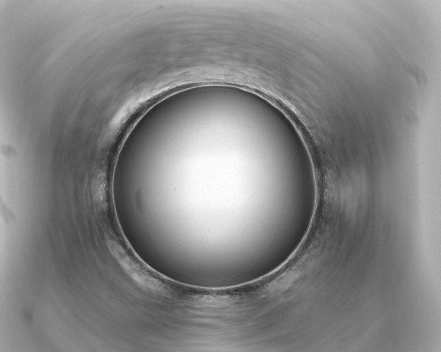 X0000091351499200708101519