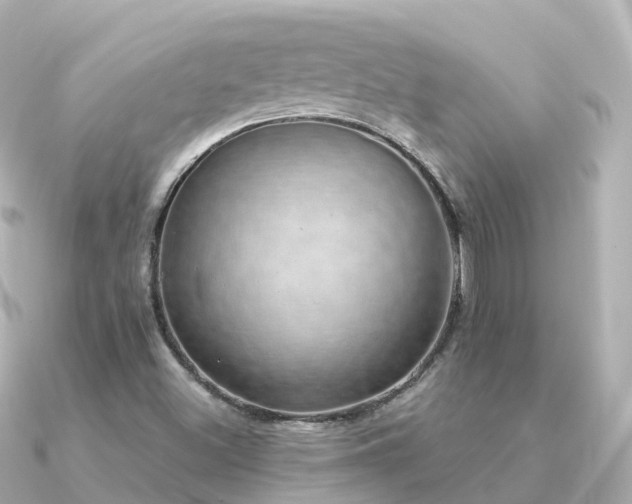 X0000091351500200708101519