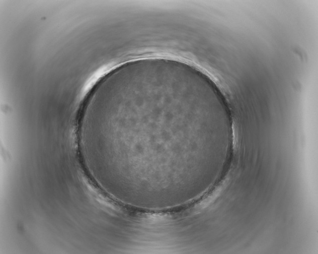 X0000091351501200708101519