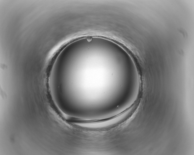 X0000091351502200708101519
