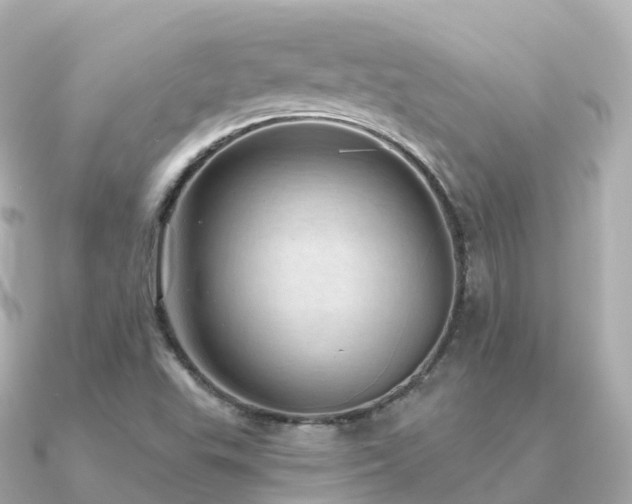 X0000091351503200708101520