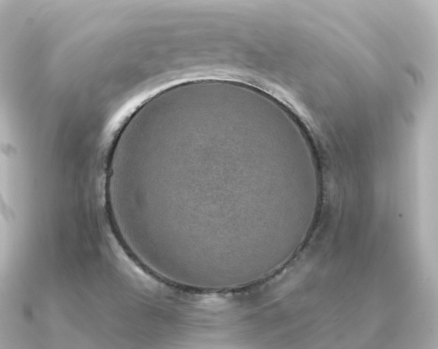 X0000091351504200708101520