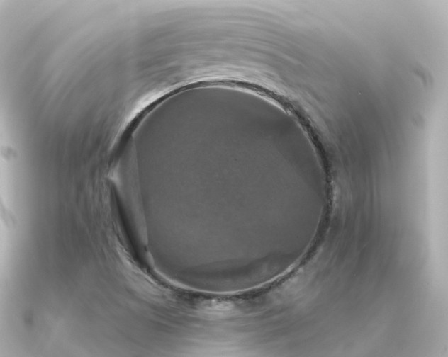 X0000091351505200708101520