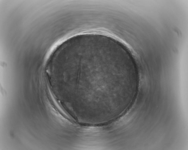 X0000091351506200708101520