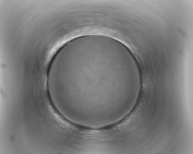X0000091351507200708101520