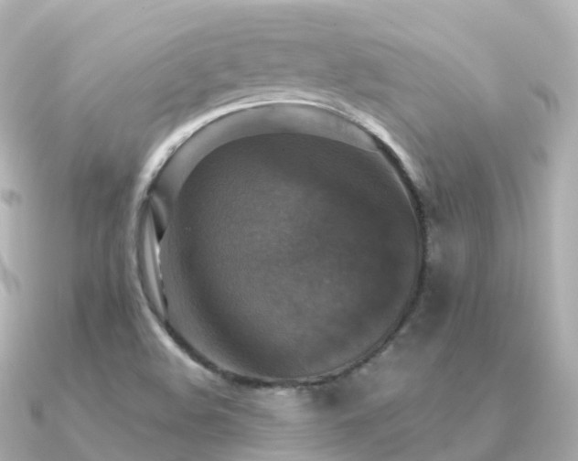 X0000091351508200708101520