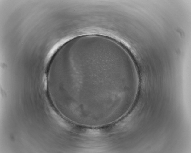 X0000091351509200708101520