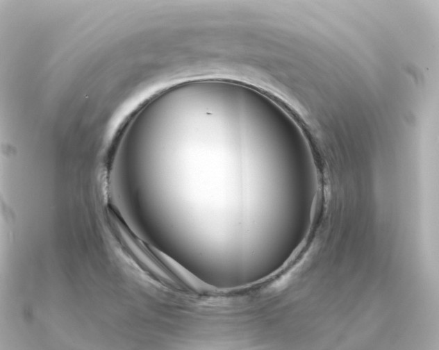 X0000091351510200708101520