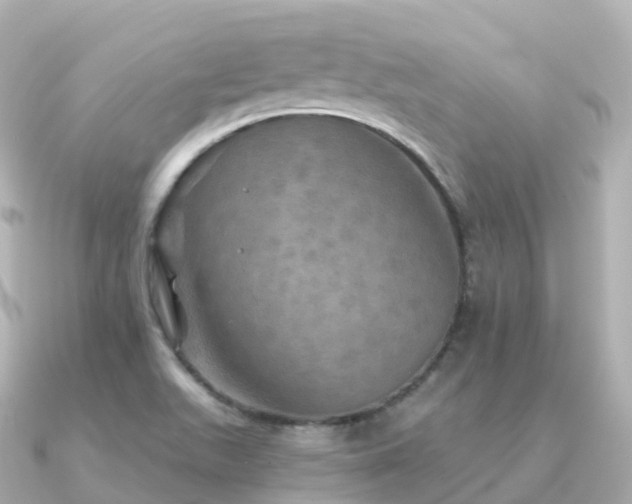X0000091351511200708101520