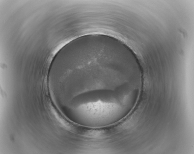 X0000091351513200708101520