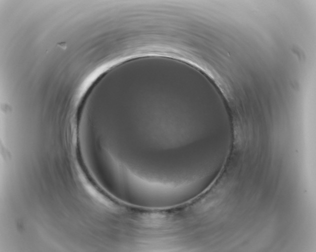 X0000091351515200708101520