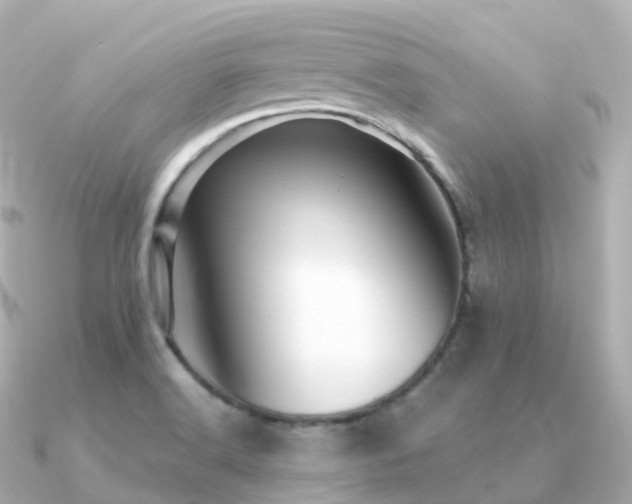 X0000091351516200708101520