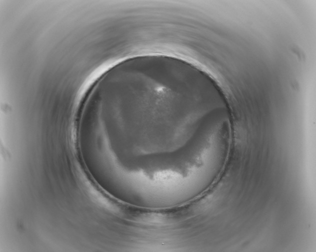 X0000091351517200708101520