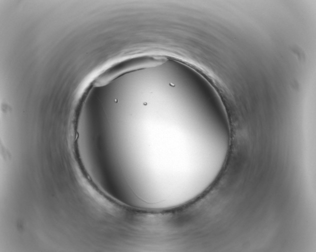 X0000091351518200708101520