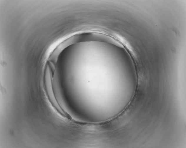 X0000091351520200708101520
