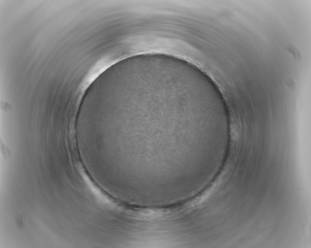 X0000091351521200708101520