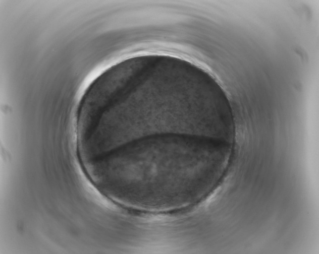 X0000091351522200708101520
