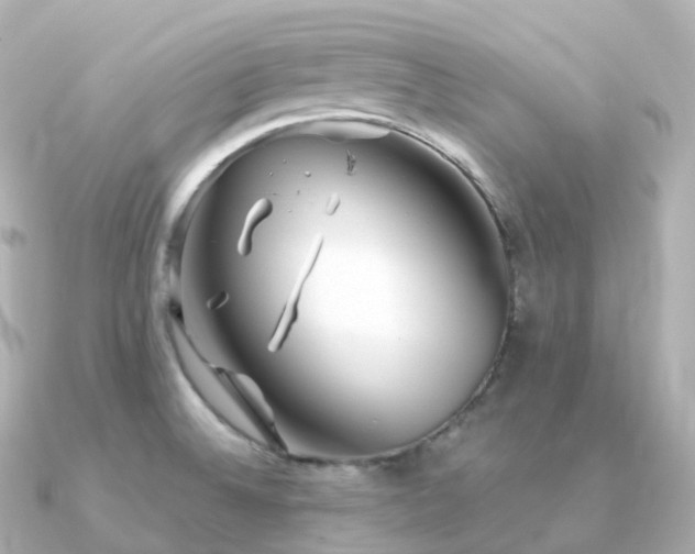 X0000091351524200708101520