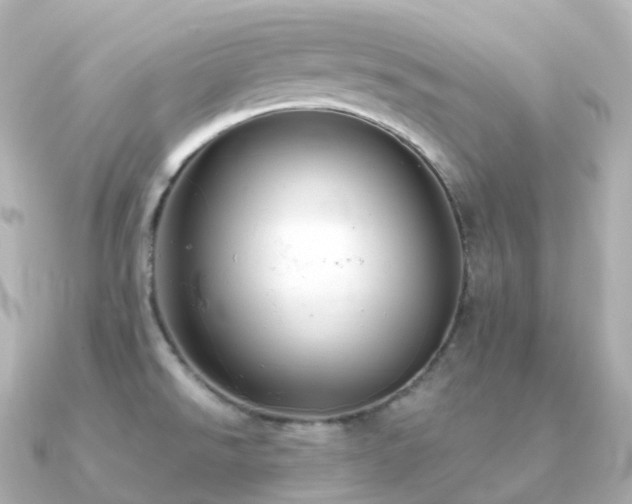 X0000091351526200708101520