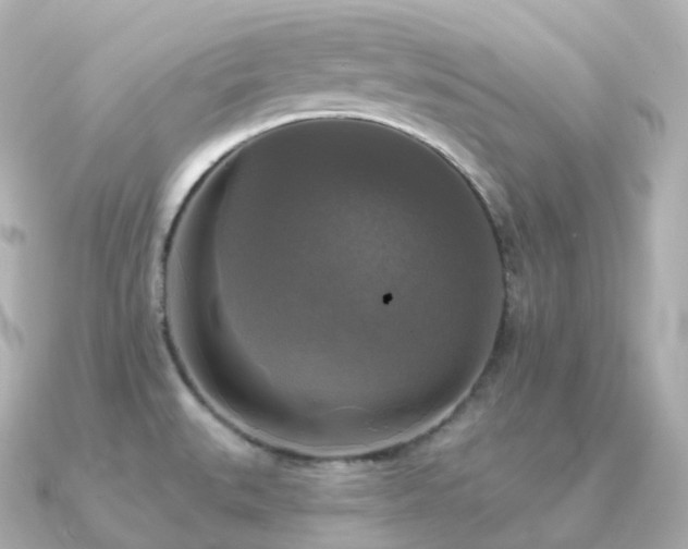 X0000091351527200708101520