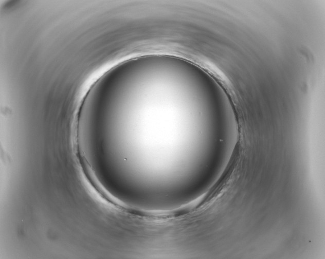 X0000091351528200708101520