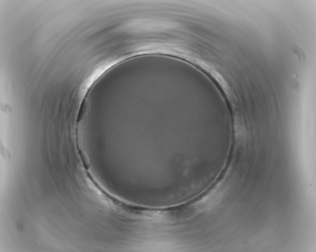 X0000091351529200708101520