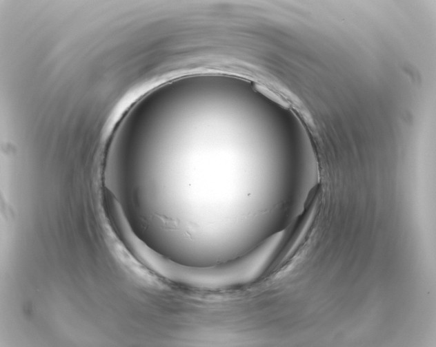 X0000091351530200708101520