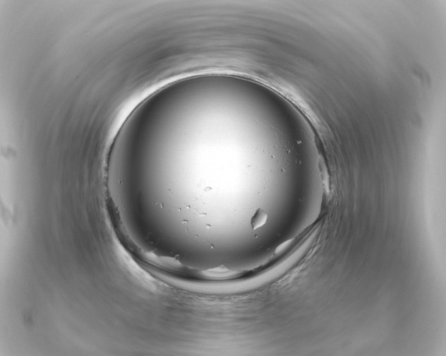 X0000091351532200708101520