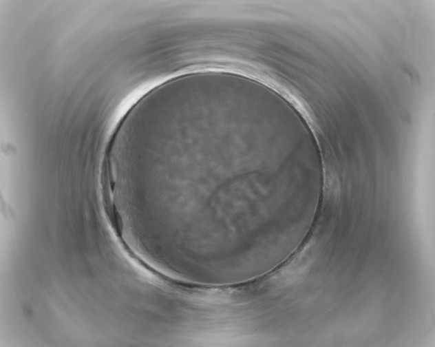 X0000091351533200708101520