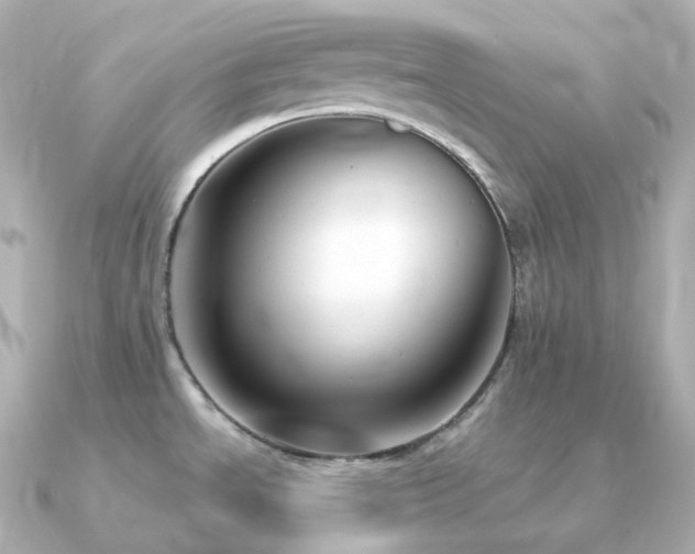 X0000091351534200708101520