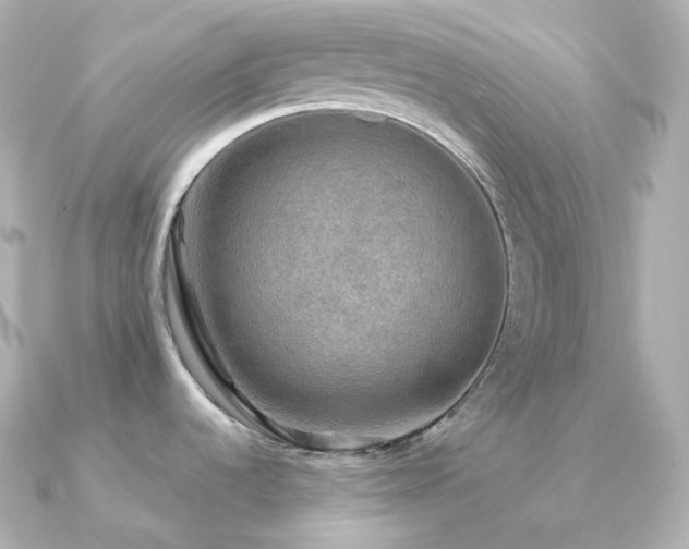 X0000091351536200708101520