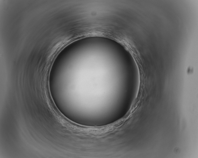 X0000091350001200708171441