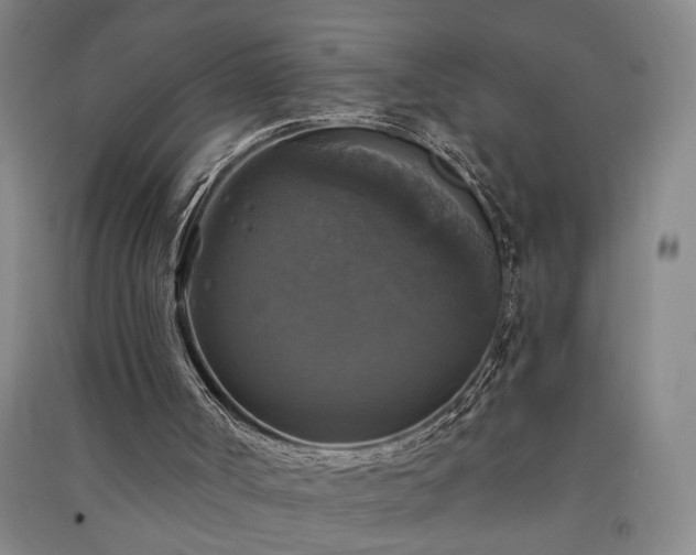 X0000091350002200708171441
