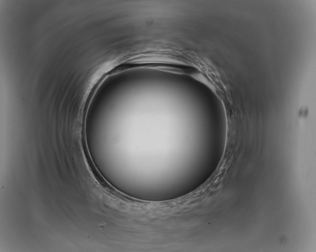 X0000091350003200708171441