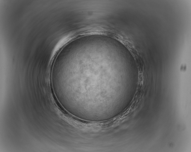 X0000091350004200708171441
