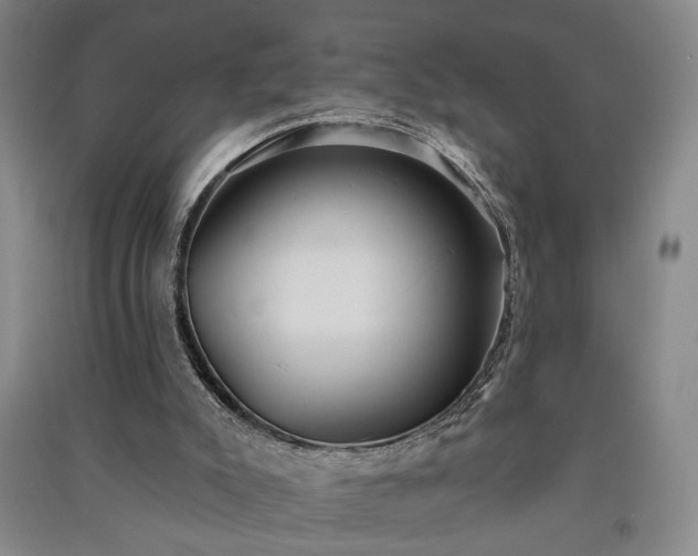 X0000091350007200708171441